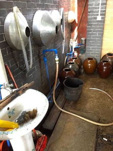 广东省自制浸泡酒调研报告发布 监管需照亮“灰色地带”
